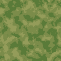 Camouflage.png